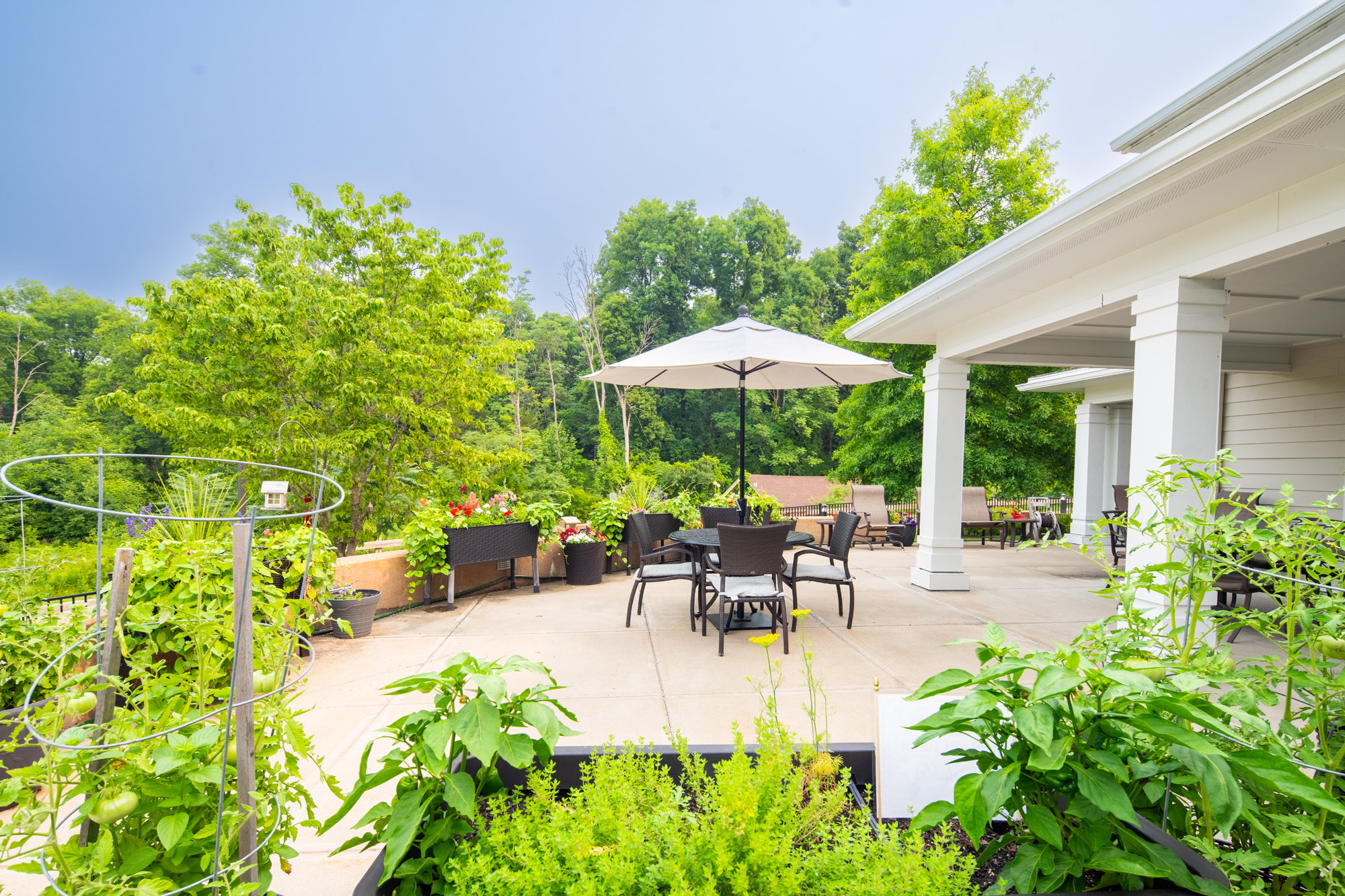 LDPK_28 Patio